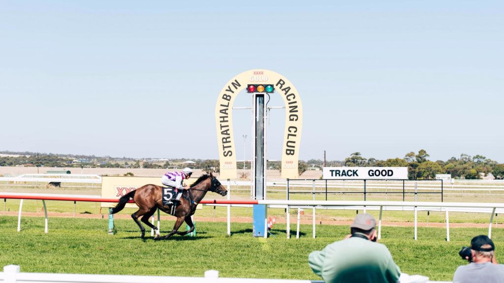 29/5/2024 Horse Racing Tips and Best Bets – Strathalbyn