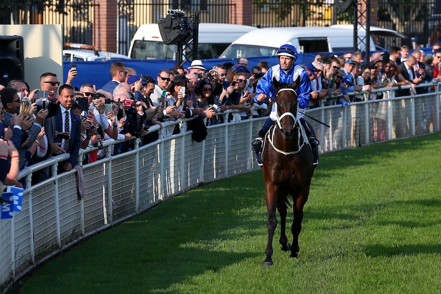 A crowd watches a man ride a horse in a horse race.